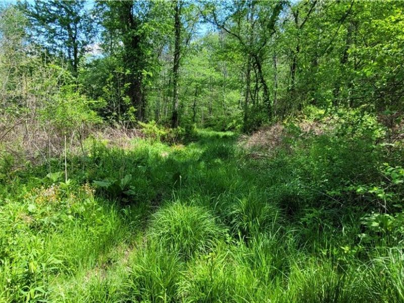 72577 Old Twenty-One Road , Kimbolton, OH 43749 Photo 48