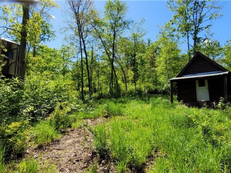 72577 Old Twenty-One Road , Kimbolton, OH 43749 Photo 6