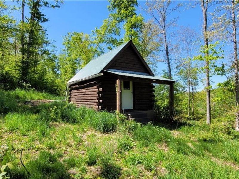 72577 Old Twenty-One Road , Kimbolton, OH 43749 Photo 7