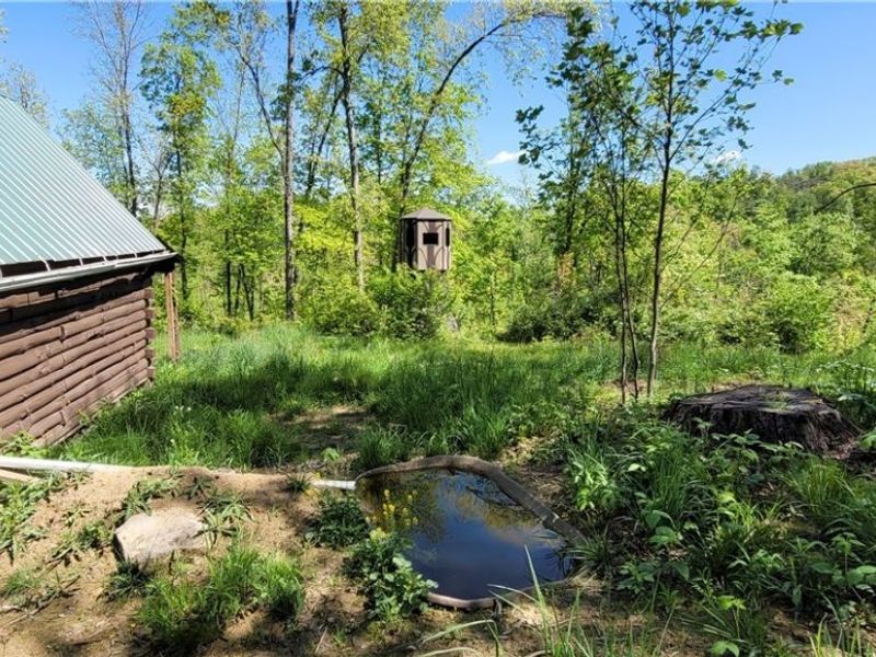 72577 Old Twenty-One Road , Kimbolton, OH 43749 Photo 8