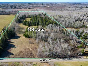 Parcel D Township Road D, Wawina, MN 55736