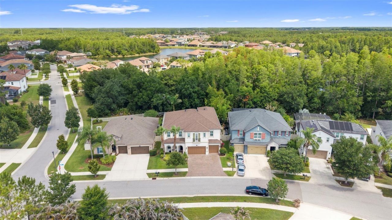 3515 Lands End Way , Lutz, FL 33548 Photo