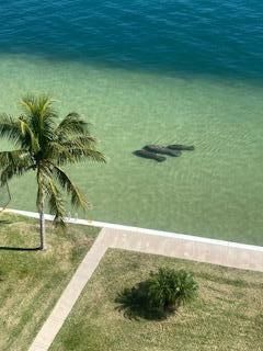 301 Lake Shore Drive, Unit 801, Lake Park, FL 33403 Photo