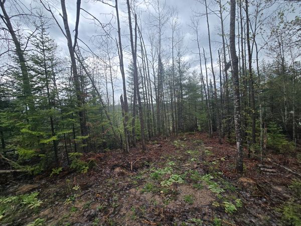 14453 W Shoreline Drive, Wolverine, MI 49799