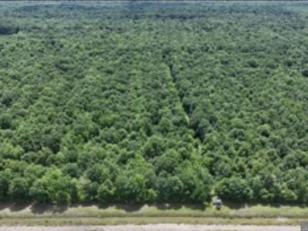 Greenwood Plantation Rd, Thibodaux, LA 70301