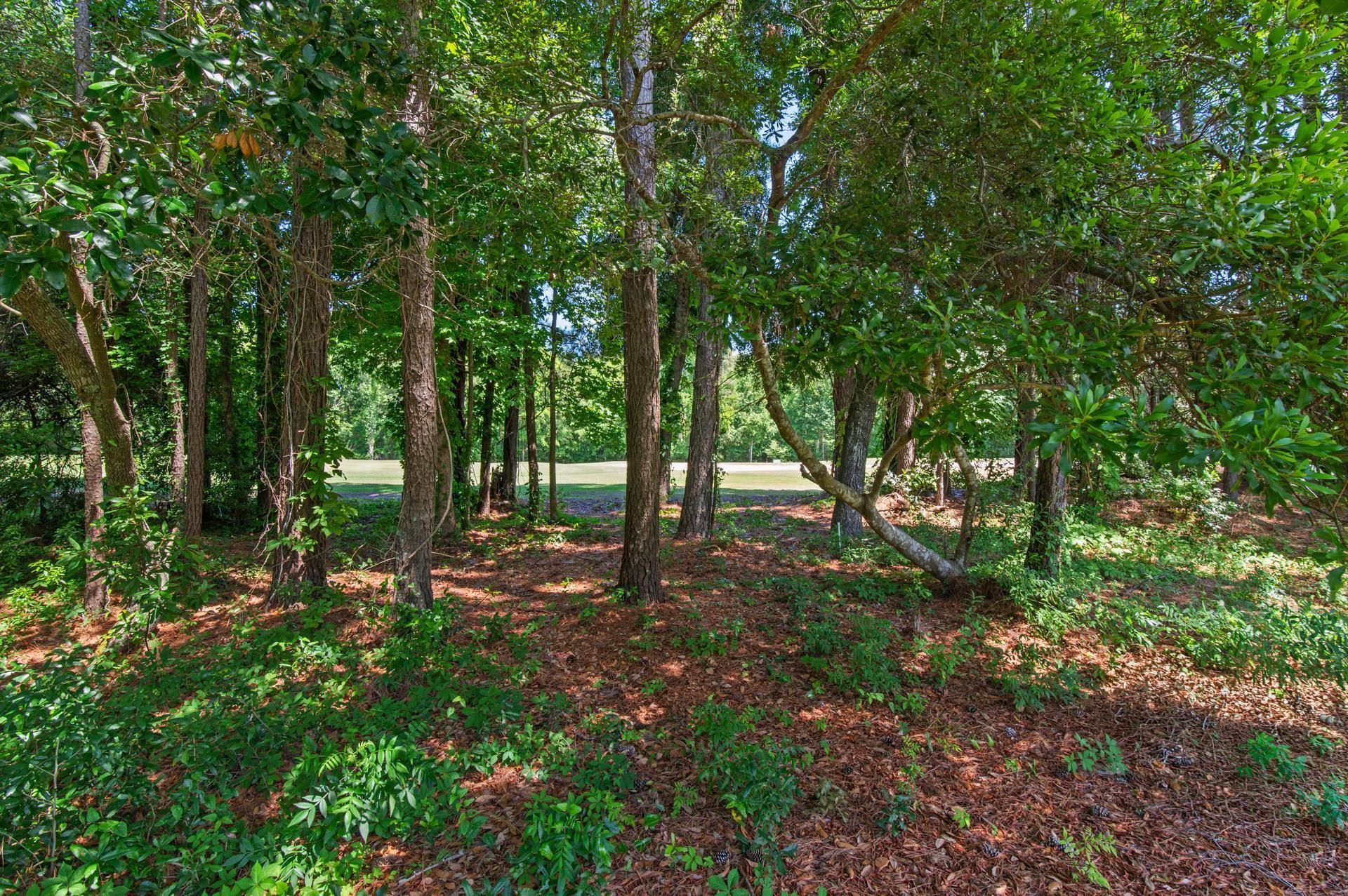 349 Tradition Club Dr. Photo 46