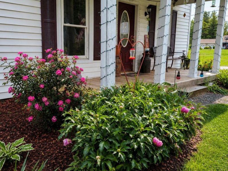 250 Broadway Street, Seaman, OH 45679 Photo 4