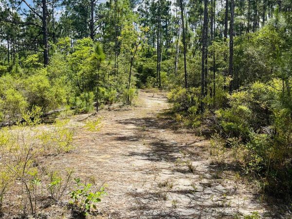 TBD Chaco Circle , Alford, FL 32420