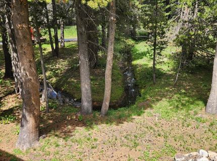 79 Silver Tip Dr, Bear Valley, CA 95223 Photo