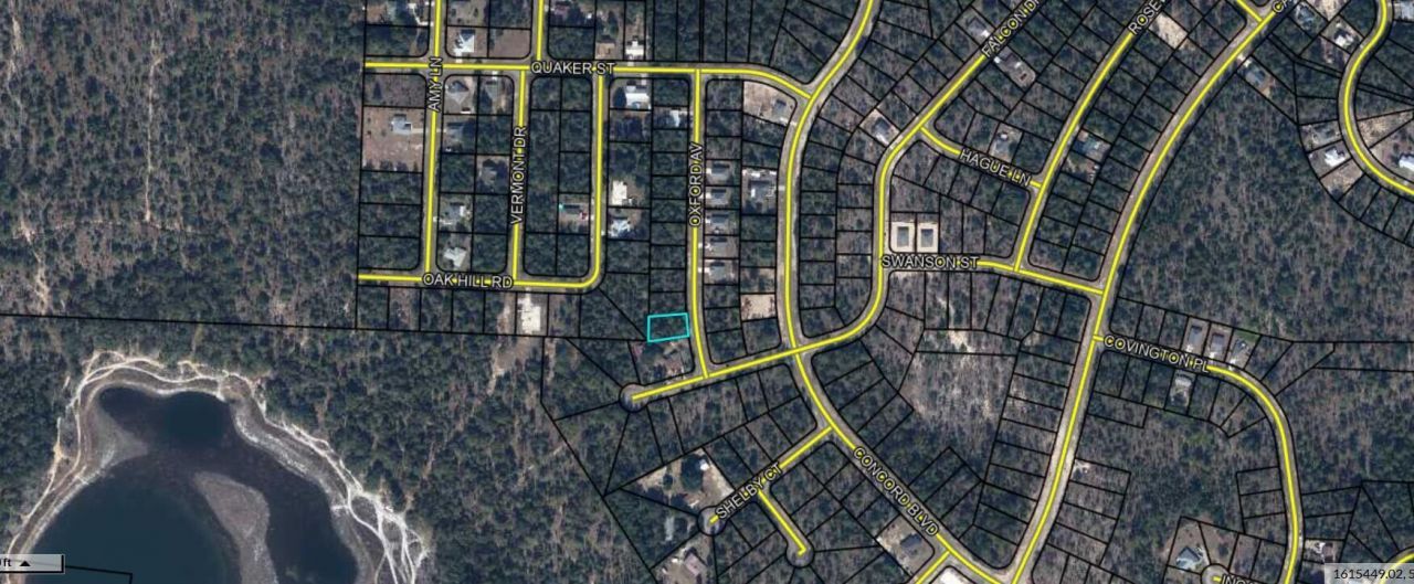 Tbd Oxford Avenue, Chipley, FL 32428 Photo