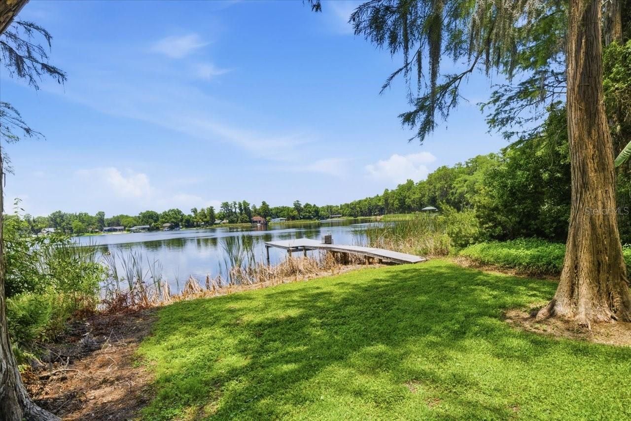 15612 Howell Park Lane, Tampa, FL 33625 Photo