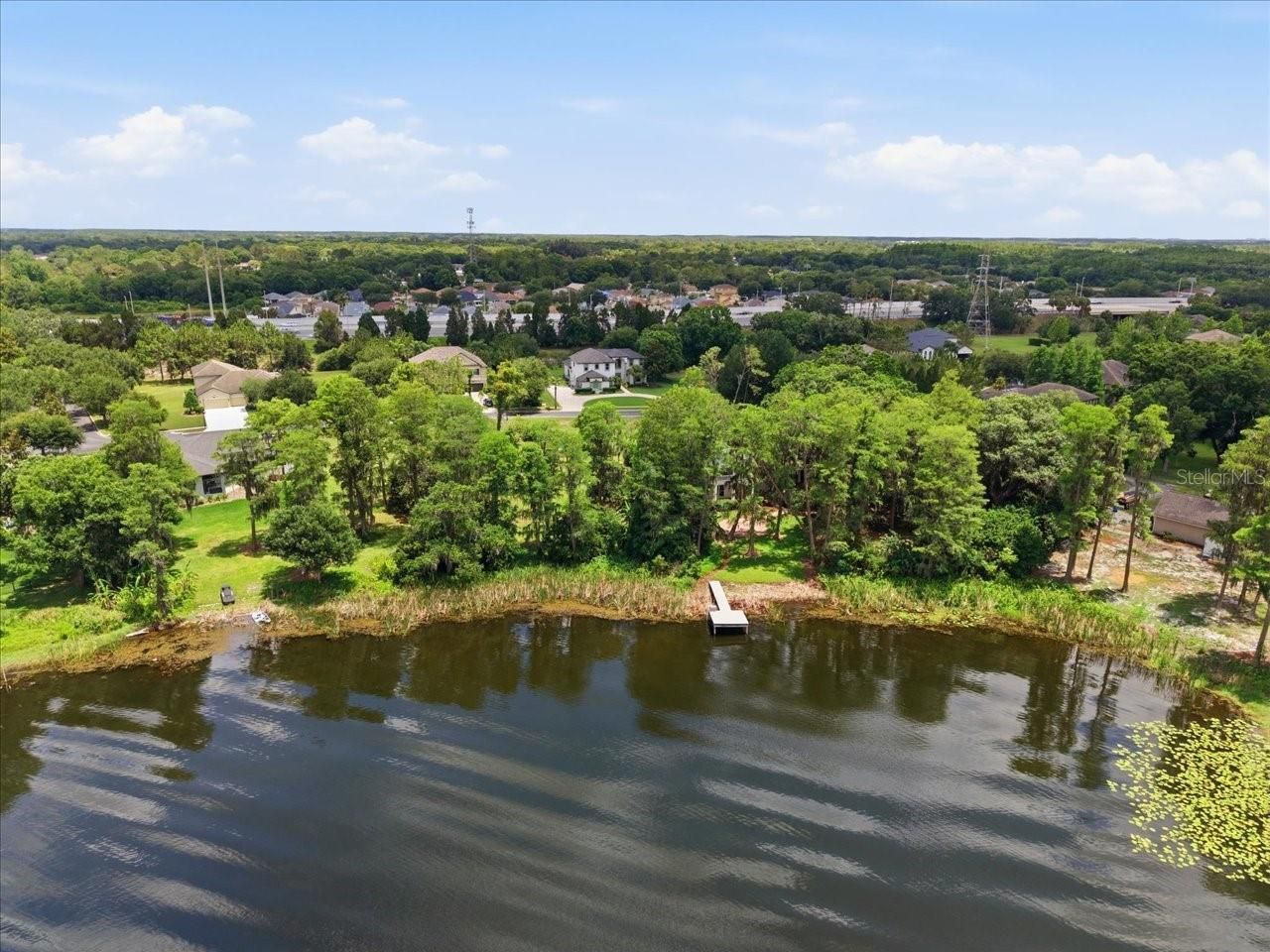 15612 Howell Park Lane, Tampa, FL 33625 Photo
