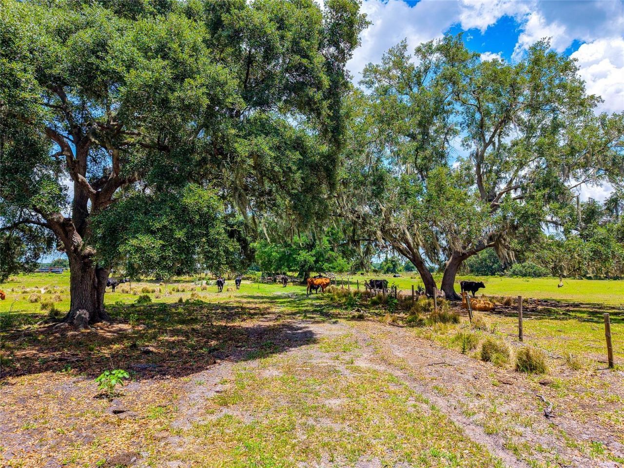 3030 N Nursery Road, Zolfo Springs, FL 33890 Photo