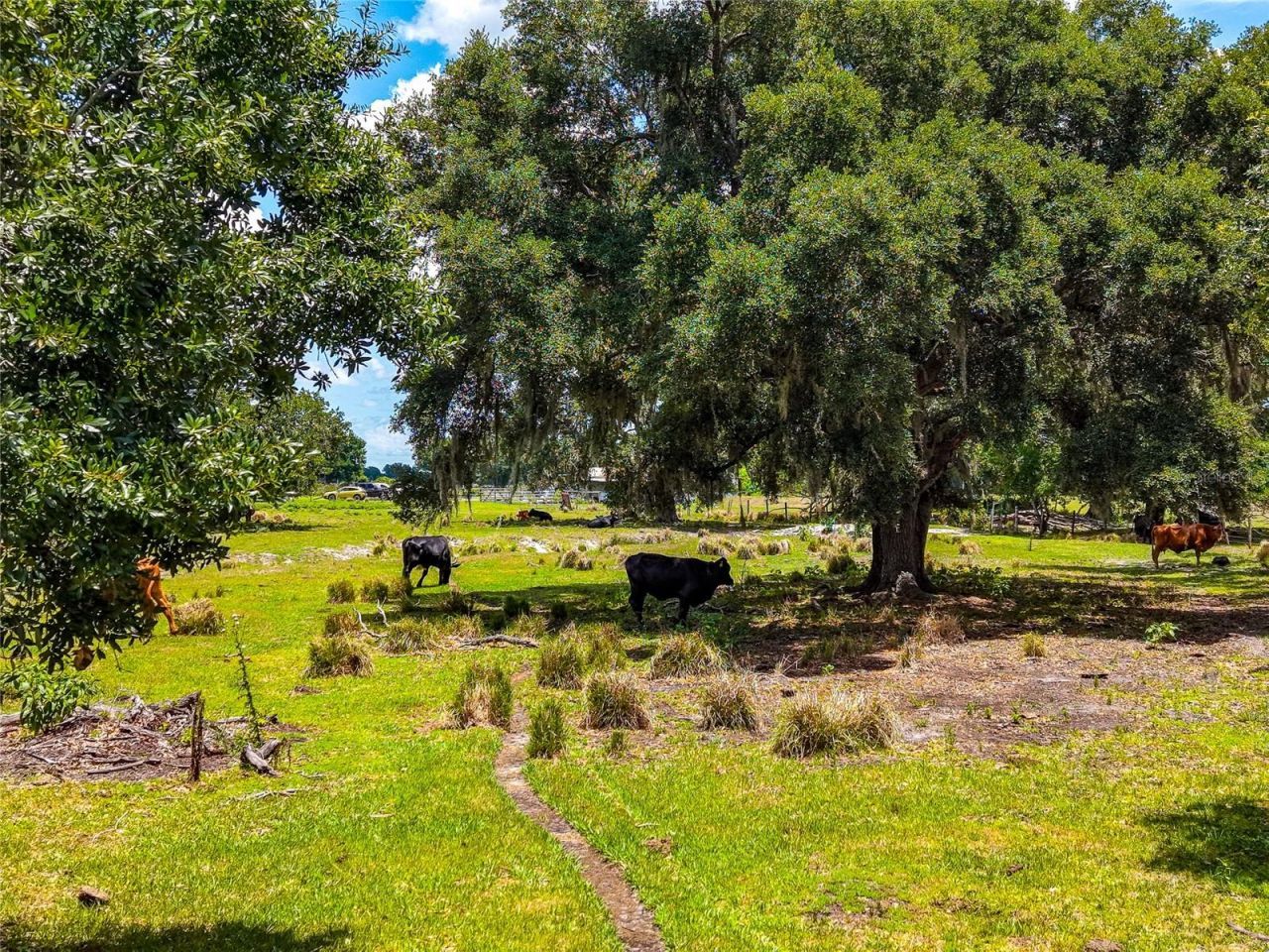 3030 N Nursery Road, Zolfo Springs, FL 33890 Photo
