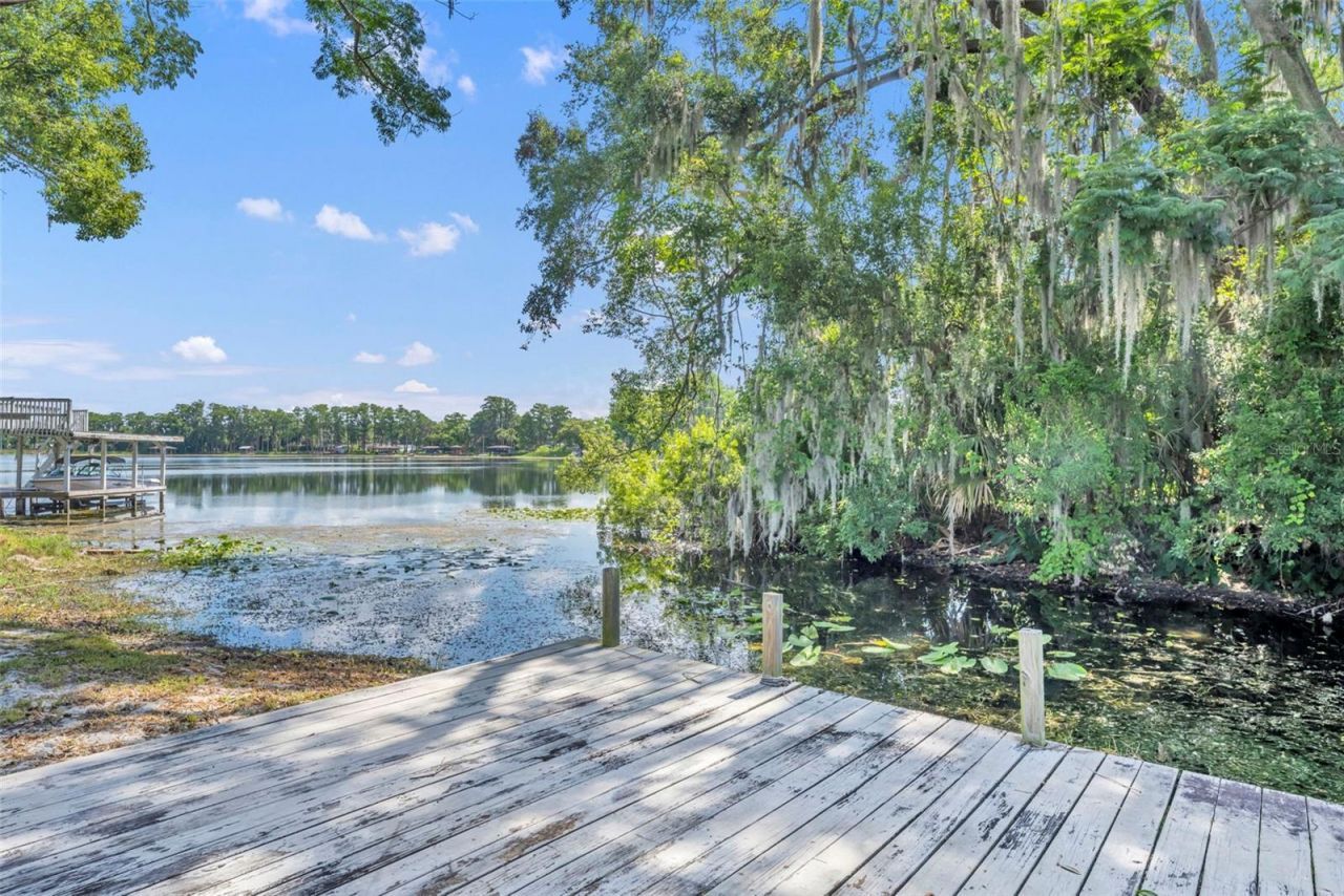 1009 Lake Bell Drive, Winter Park, FL 32789 Photo