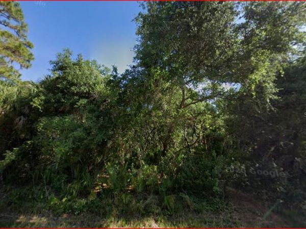 14258 CHAMBERLAIN BOULEVARD , PORT CHARLOTTE, FL 33953