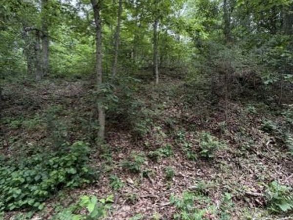 TBD Islay Drive , Bella Vista, AR 72715