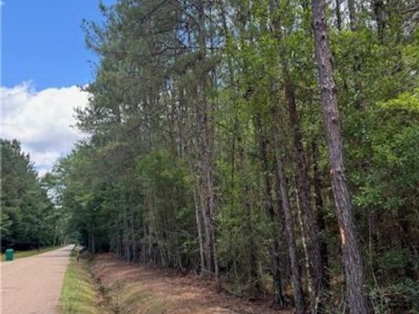 TBD LAVINGHOUSE Road , Bush, LA 70431