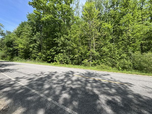 Wildwood Road, Shelbyville, MI 49344