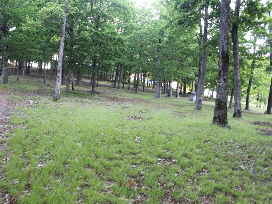 Property Image 49