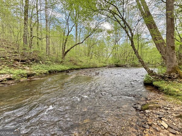 LOT 5 Spiva Cove, Blairsville, GA 30512