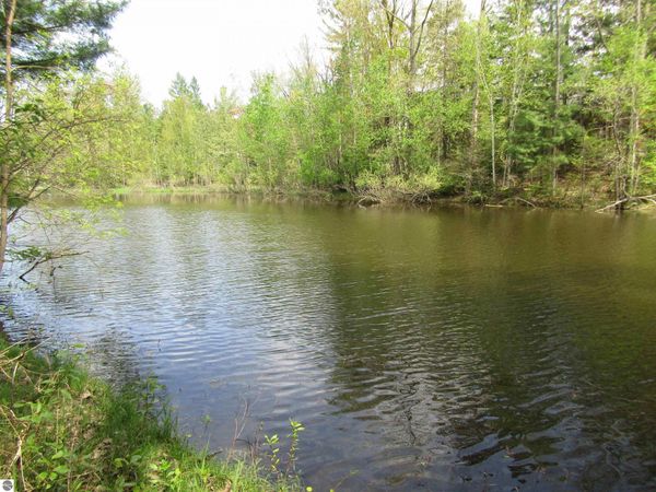199 Caribou Trail W, West Branch, MI 48661