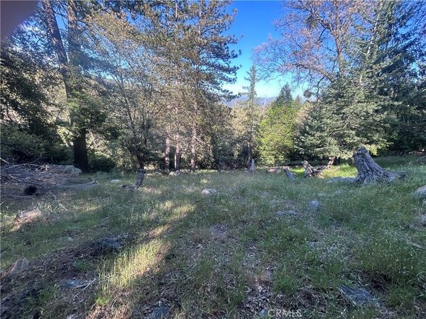 342 CANYON DR, Big Bear, CA 92322