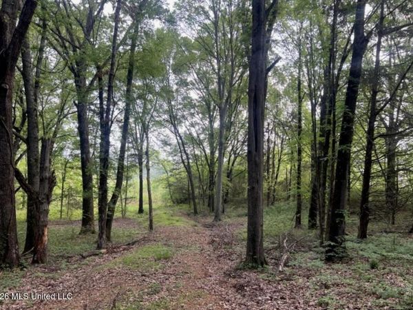 107 Cherrydale Drive, Coldwater, MS 38618