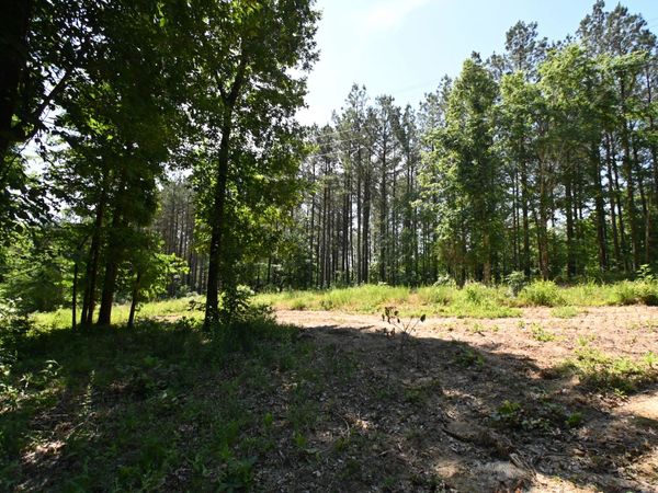 0 Bear Creek Rd , Unit 57, Waverly, TN 37185