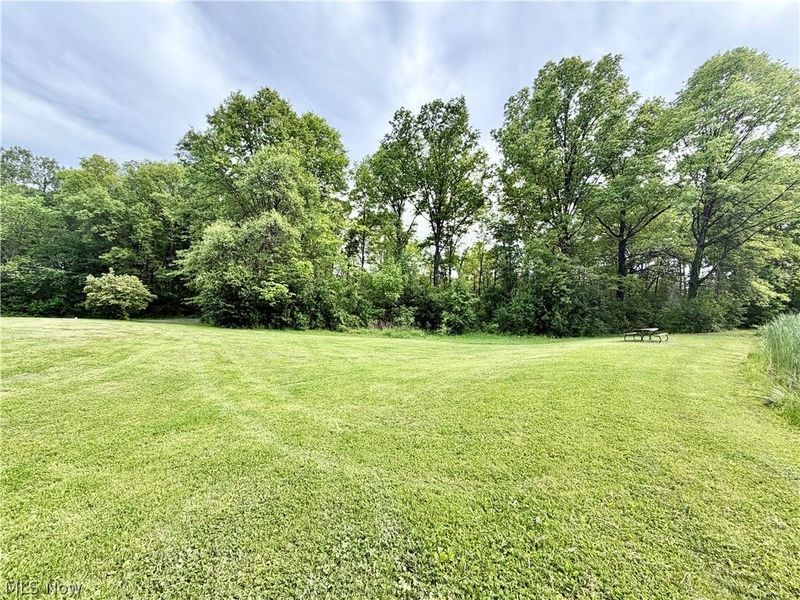 1773 Mahoning Road, Deerfield, OH 44411 Photo 15