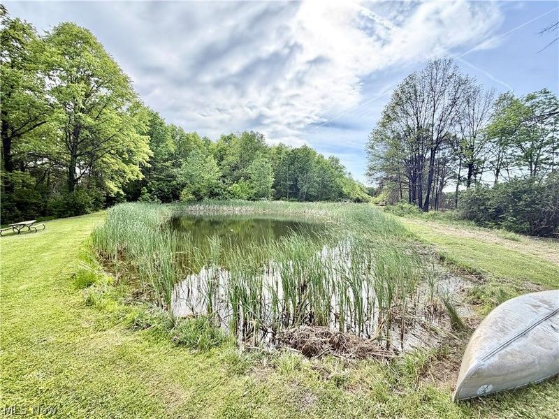 1773 Mahoning Road, Deerfield, OH 44411 Photo 18