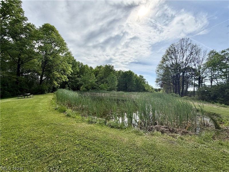 1773 Mahoning Road, Deerfield, OH 44411 Photo 19