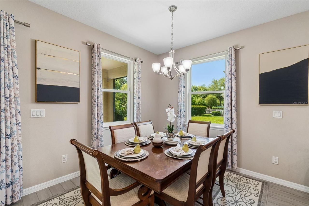 12507 Candleberry Circle, Tampa, FL 33635 Photo