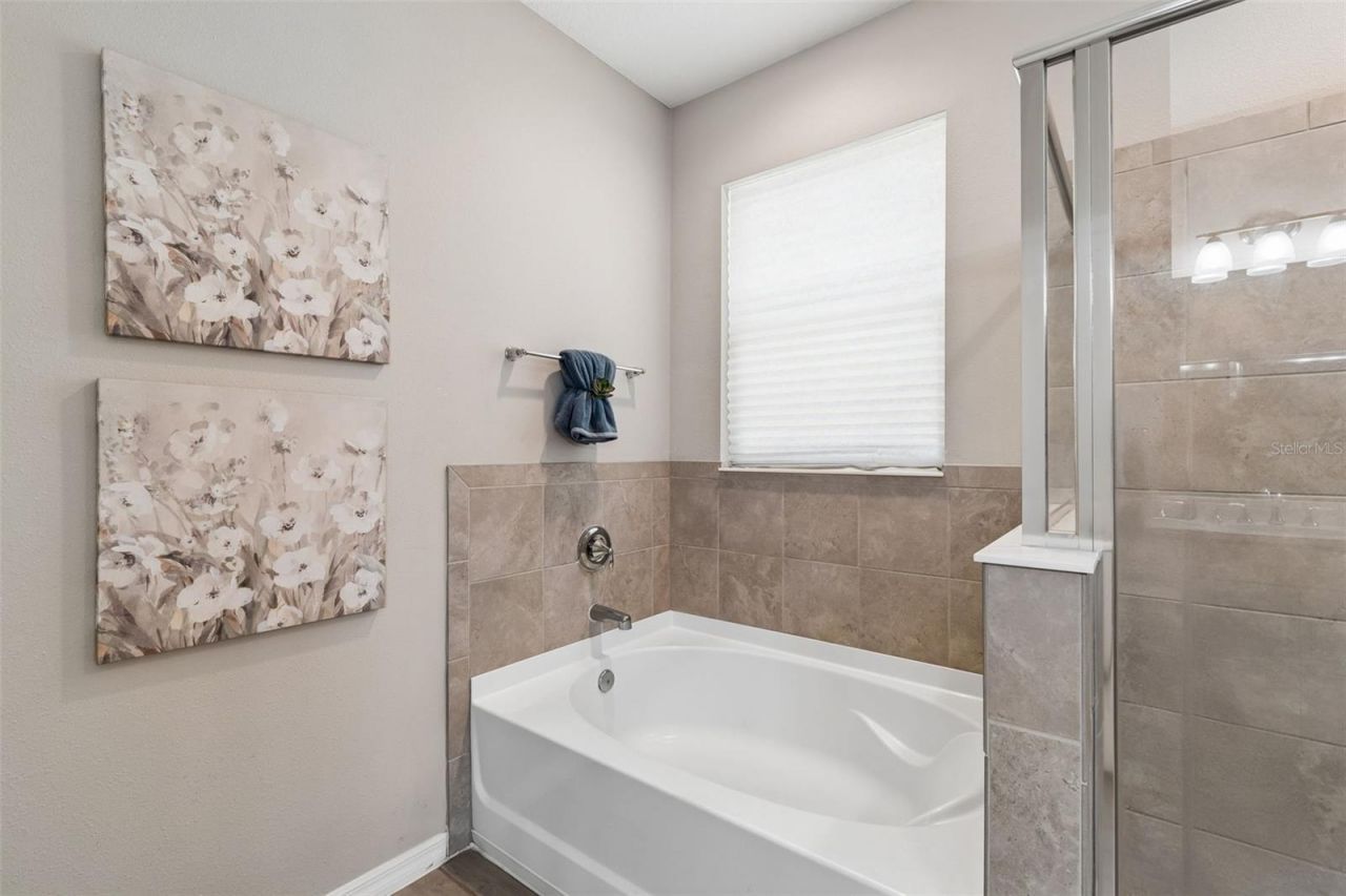 12507 Candleberry Circle, Tampa, FL 33635 Photo