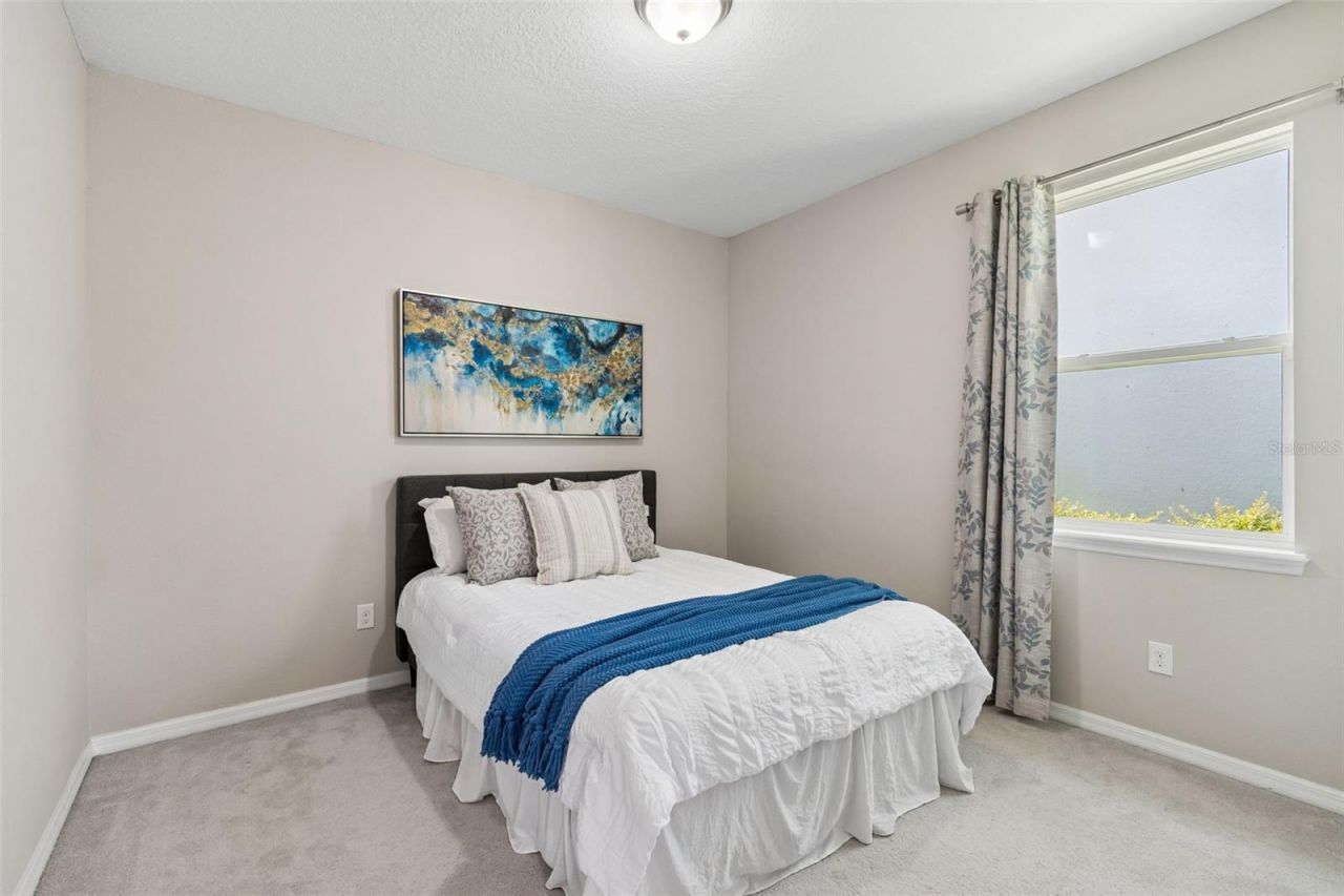 12507 Candleberry Circle, Tampa, FL 33635 Photo