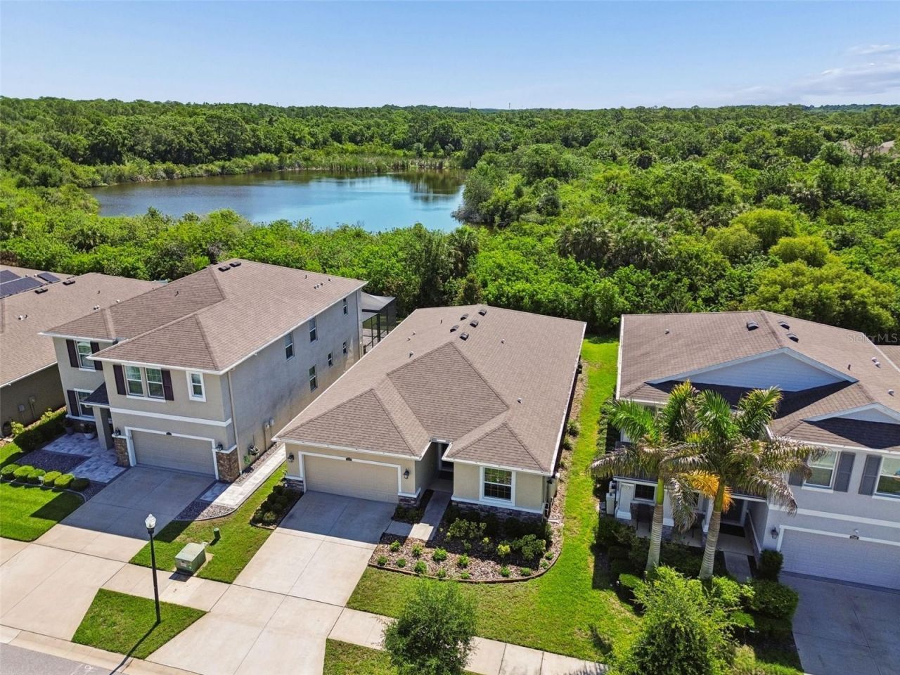 12507 Candleberry Circle, Tampa, FL 33635 Photo