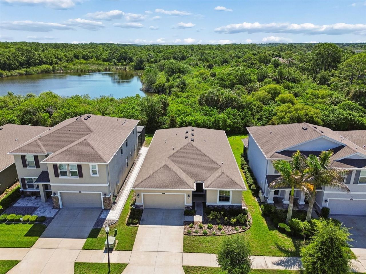 12507 Candleberry Circle, Tampa, FL 33635 Photo