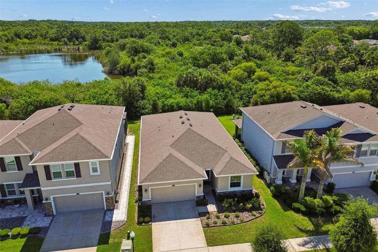 12507 Candleberry Circle, Tampa, FL 33635 Photo