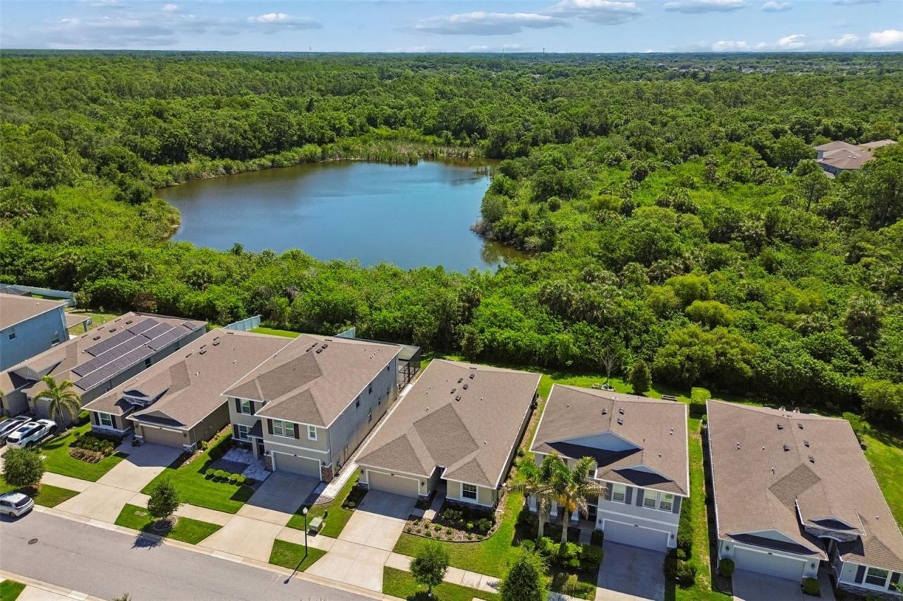 12507 Candleberry Circle, Tampa, FL 33635 Photo