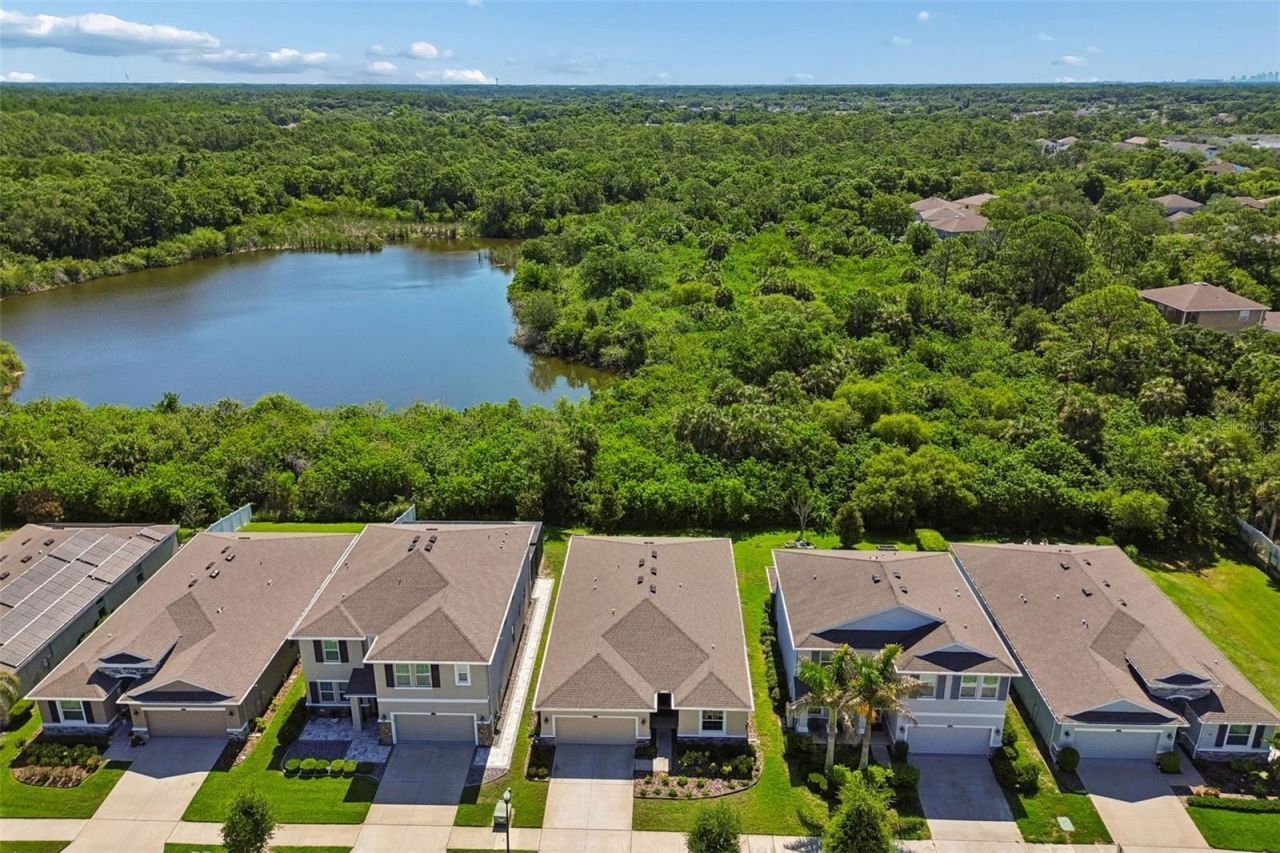12507 Candleberry Circle, Tampa, FL 33635 Photo