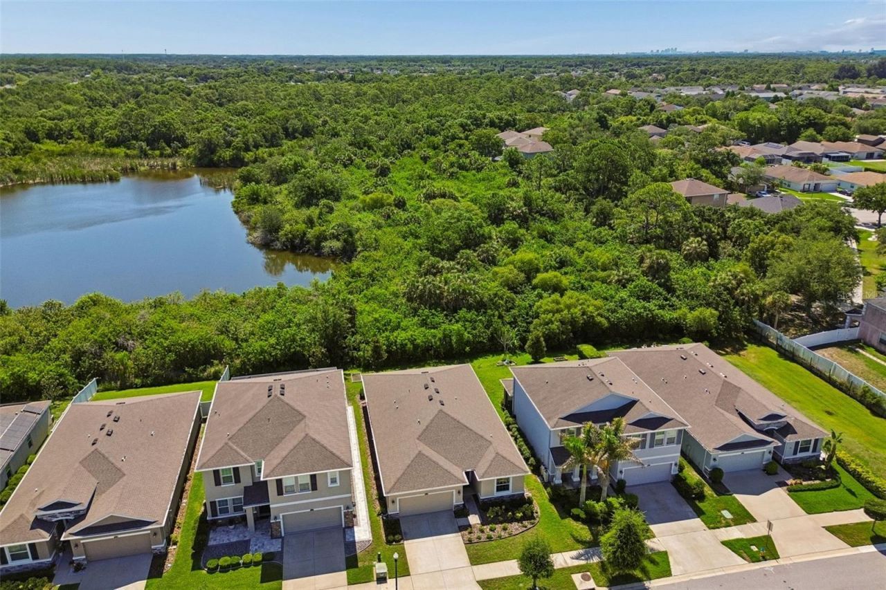 12507 Candleberry Circle, Tampa, FL 33635 Photo