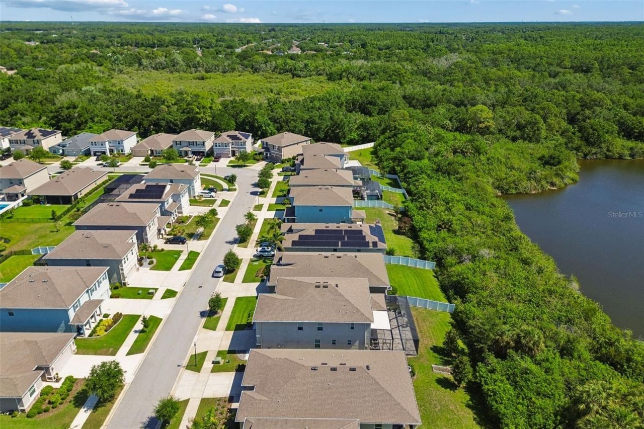 12507 Candleberry Circle, Tampa, FL 33635 Photo
