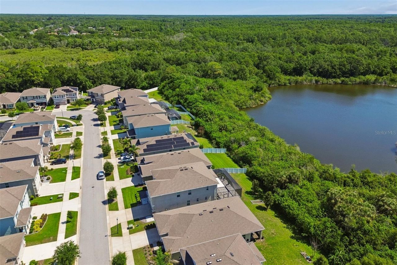 12507 Candleberry Circle, Tampa, FL 33635 Photo