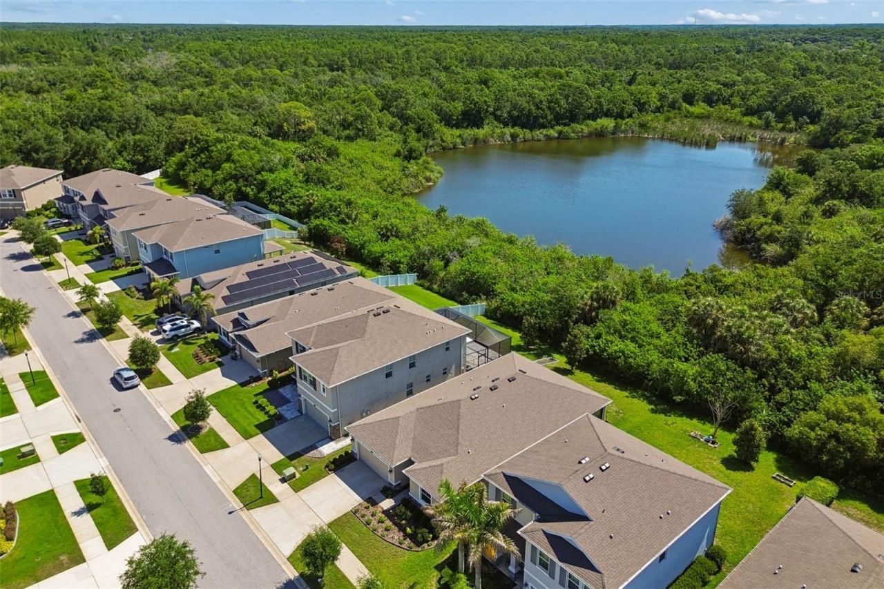 12507 Candleberry Circle, Tampa, FL 33635 Photo