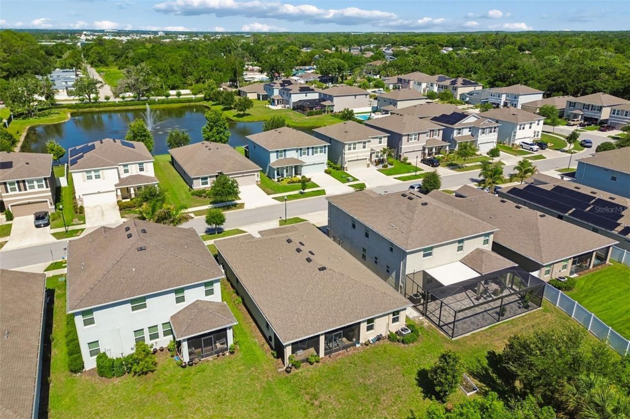 12507 Candleberry Circle, Tampa, FL 33635 Photo
