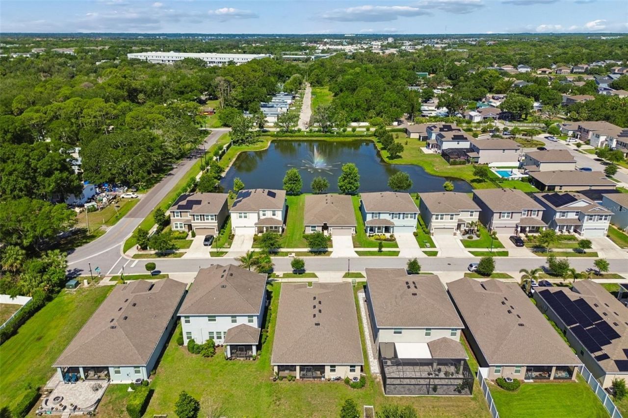 12507 Candleberry Circle, Tampa, FL 33635 Photo