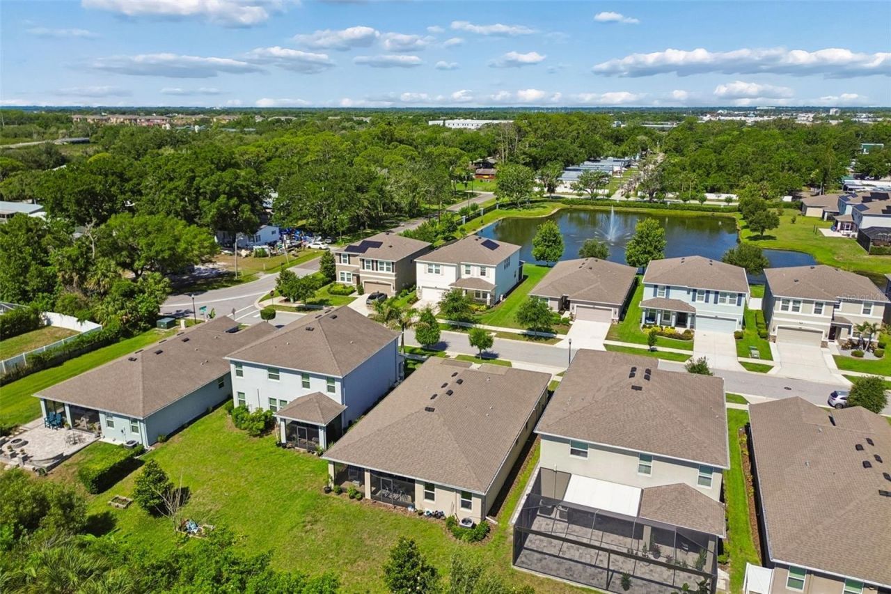 12507 Candleberry Circle, Tampa, FL 33635 Photo