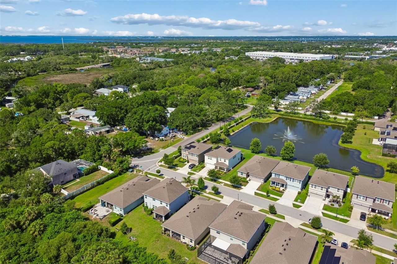 12507 Candleberry Circle, Tampa, FL 33635 Photo