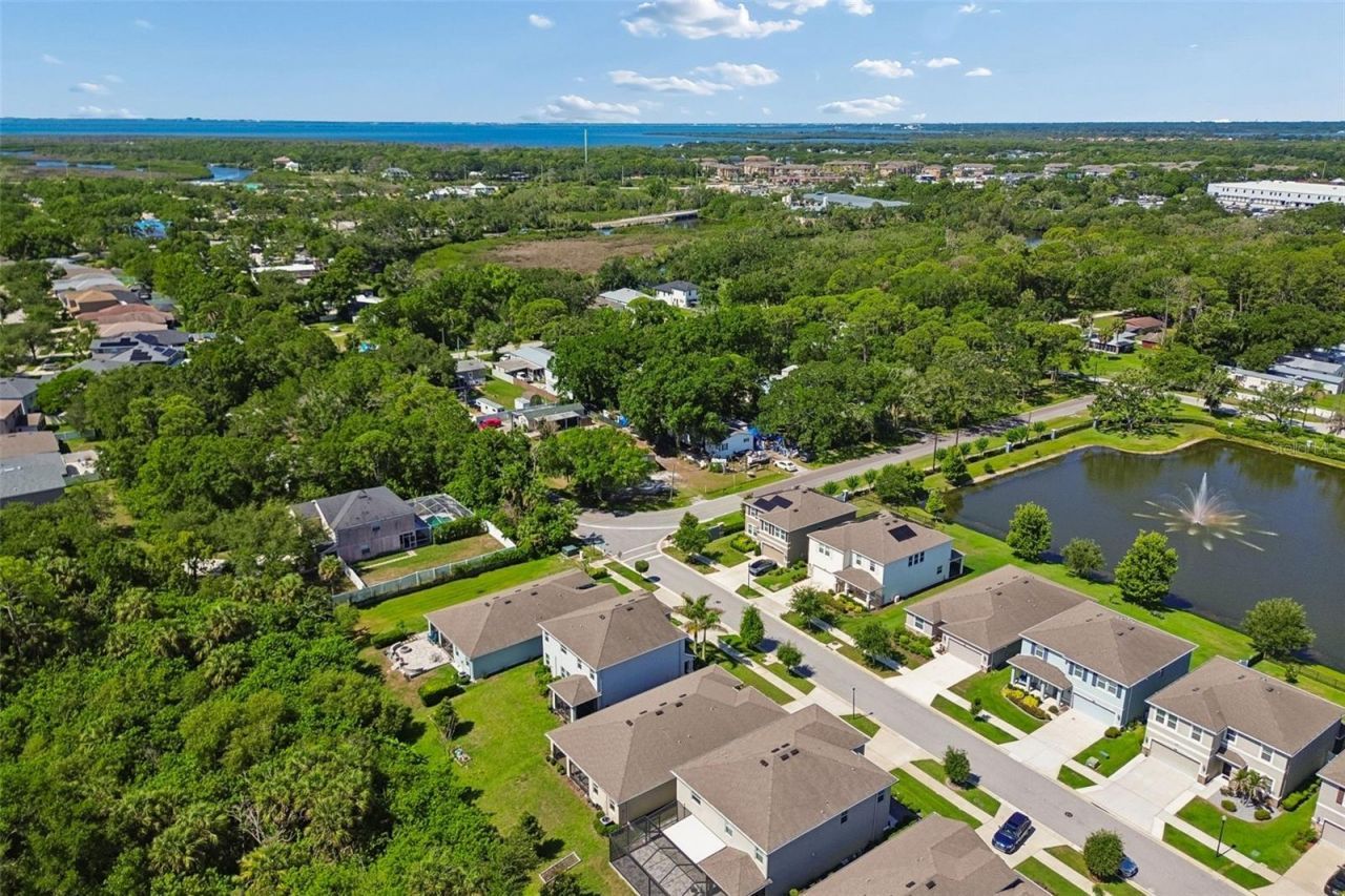 12507 Candleberry Circle, Tampa, FL 33635 Photo