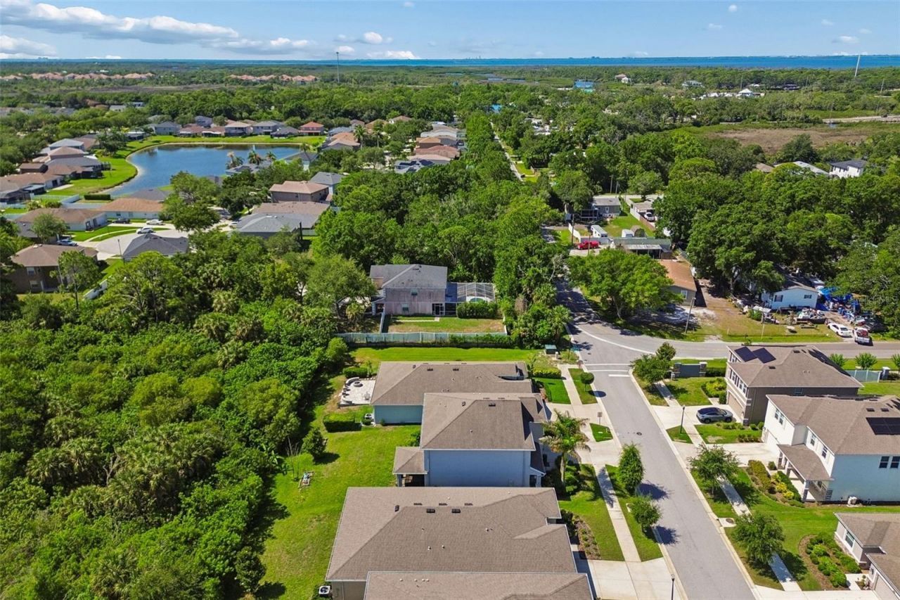 12507 Candleberry Circle, Tampa, FL 33635 Photo